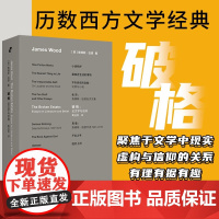 破格 詹姆斯·伍德 著 小说