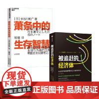 被追赶的经济体+萧条中的生存智慧 辜朝明等 著 经济