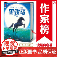 黑骏马 安娜·塞维尔 著 儿童文学