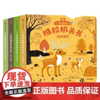 小手动动推拉机关书 四季特辑4册装 埃米尔·哈雅西 绘 儿童文学