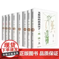 无愁河的浪荡汉子系列 黄永玉 著 小说