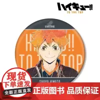 AMNIBUS 排球少年 Ani-Art BIG吧唧徽章Vol.5