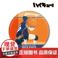 AMNIBUS 排球少年 Ani-Art BIG吧唧徽章Vol.7