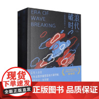 破浪时代 人间需要情绪稳定 著 小说