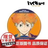 AMNIBUS 排球少年 Ani-Art BIG吧唧徽章Vol.4