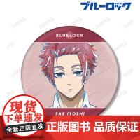 蓝色监狱 Ani-Art BIG吧唧