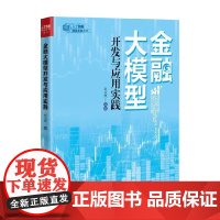 金融大模型开发与应用实践 张治政 著 计算机与互联网