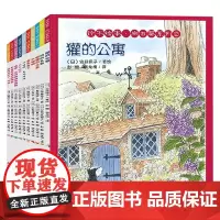 铃木绘本 向日葵系列①+② 大桥惠美子等 著 儿童绘本