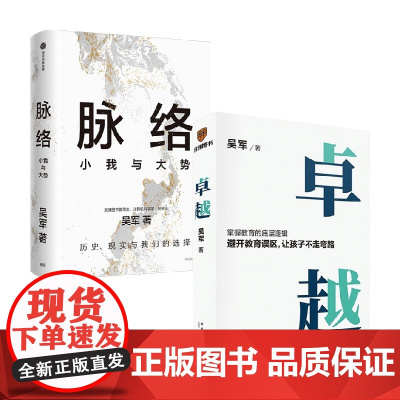 脉络 小我与大势+卓越 吴军 著 励志与成功