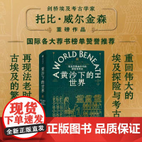 黄沙下的世界 埃及学黄金时代的探险与考古 托比威尔金森 著 考古