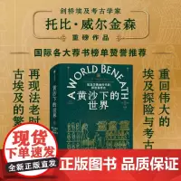 黄沙下的世界 埃及学黄金时代的探险与考古 托比威尔金森 著 考古