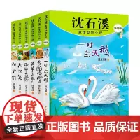 沈石溪激情动物小说拼音版系列 6-10岁 沈石溪 著 儿童文学