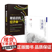 被追赶的经济体经济理论辜朝明著中信出版集团
