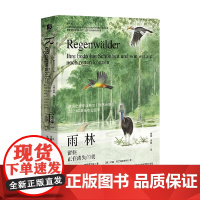 雨林 留住正在消失的美 约翰 布兰德施泰特等 著 科普读物