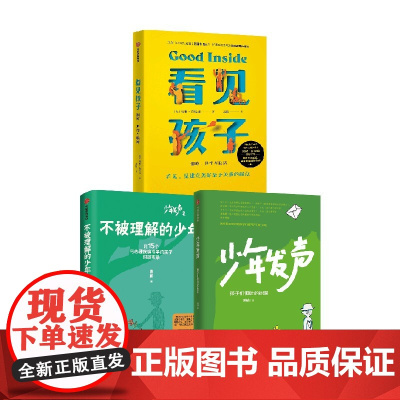 看见孩子+少年发声+不被理解的少年 套装3册 陈瑜 等著 家教方法