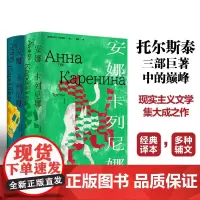 安娜·卡列尼娜 列夫·托尔斯泰 著 小说