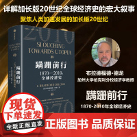 蹒跚前行 1870—2010年全球经济史 布拉德福德德龙 著 加长版20世纪全球经济史 经济