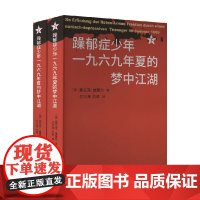 躁郁症少年一九六九年夏的梦中江湖 弗兰克·维策尔 著 外国文学
