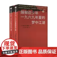 躁郁症少年一九六九年夏的梦中江湖 弗兰克·维策尔 著 外国文学