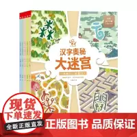 小象汉字汉字奥秘大迷宫 套装5册 3-6岁 小象汉字 著 益智游戏