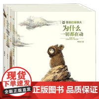 爸爸的爱很大 4册组套 3-5岁 李茂渊 著 儿童绘本