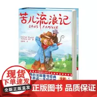 苦儿流浪记 7-14岁 埃克多·马洛 著 儿童文学