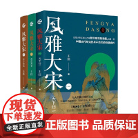 风雅大宋套装3册 王佳 著 历史