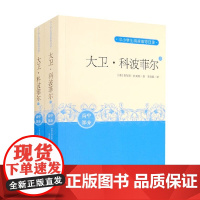 大卫·科波菲尔 上下 查尔斯·狄更斯 著 培养正确的价值观 健康的人生观 增强审美鉴别力 提升表达能力 文学