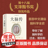 大脑传 马修 科布著 陈嘉映作序 中文通俗脑科学全史 神经系统 脑功能 人工智能 神经元 中信出版