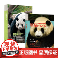 [钥匙扣随机1款+手绘贴纸+明信片*4随机1张+海报随机1款]熊猫萌兰+熊猫花花 蒋林宋林著和花萌兰成长历程知科普小说成
