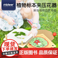 Mideer弥鹿 压花器标本夹儿童创意探索自然乐趣户外游玩礼物