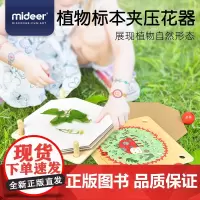 Mideer弥鹿 压花器标本夹儿童创意探索自然乐趣户外游玩礼物