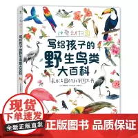 神奇动物园:写给孩子的野生鸟类大百科 8-14岁 弗洛里安·卢卡斯 著 童书科普