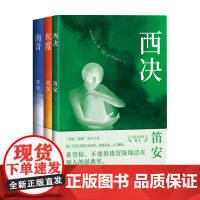 西决+东霓+南音套装3册 龙城三部曲 笛安著长篇小说中国当代青春文学小说书籍