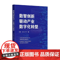 数智创新驱动产业数字化转型 袁航 编著 管理