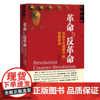 革命与反革命 社会文化视野下的民国政治 王奇生 著 政治
