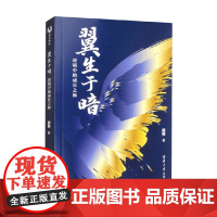 翼生于暗 加林 著 励志与成功