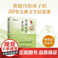 古典文学寻宝记 7-14岁 黄晓丹 著 儿童文学