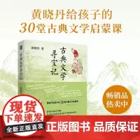 古典文学寻宝记 7-14岁 黄晓丹 著 儿童文学