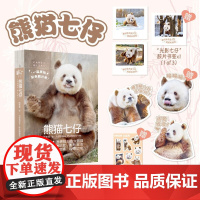 熊猫七仔 阮珍奇著 棕白色白熊猫 秦岭亚种 秦岭大熊猫 近百张照片生动展现七仔和它的伙伴们的秦岭日常 预售