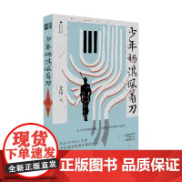 少年杨淇佩着刀 艾伟 著 小说