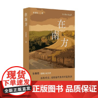 在南方 张惠雯 著 小说