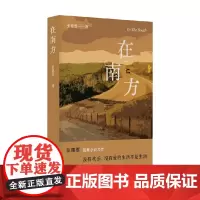 在南方 张惠雯 著 小说