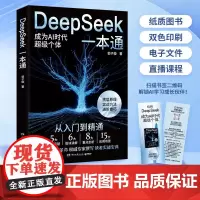 DeepSeek一本通 郭子璇 著 计算机与互联网