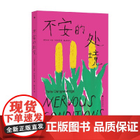 不安的处境 齐西·丹加伦芭 著 小说