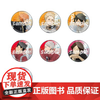 多美排球少年 登校同柄副攻手闪徽章盲抽