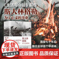 斯大林格勒 为了正义的事业 生活与命运前传