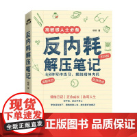 反内耗解压笔记 柳柳 著 心理学