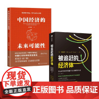 被追赶的经济体+中国经济的未来可能性 辜朝明等 著 经济