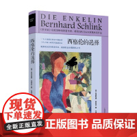 西格伦的选择 伯恩哈德·施林克 著 小说